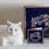 Skillet Licorice "Allsorts Orchestra" LIMITED EDITION Vinyl - Image 2